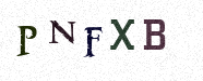 Visual Confirmation Security Code