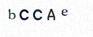 Visual Confirmation Security Code